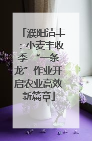 濮阳清丰：小麦丰收季 “一条龙”作业开启农业高效新篇章